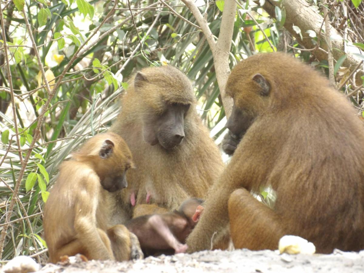 Pombo Kunda Villa Sanyang Ngoại thất bức ảnh