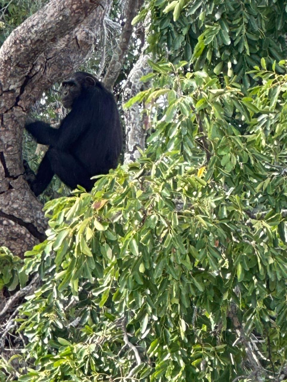 Pombo Kunda Villa Sanyang Ngoại thất bức ảnh